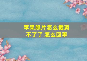 苹果照片怎么裁剪不了了 怎么回事